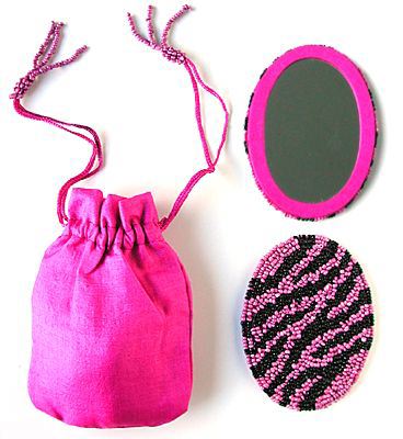 Zebra Mirror in a Little Sac
